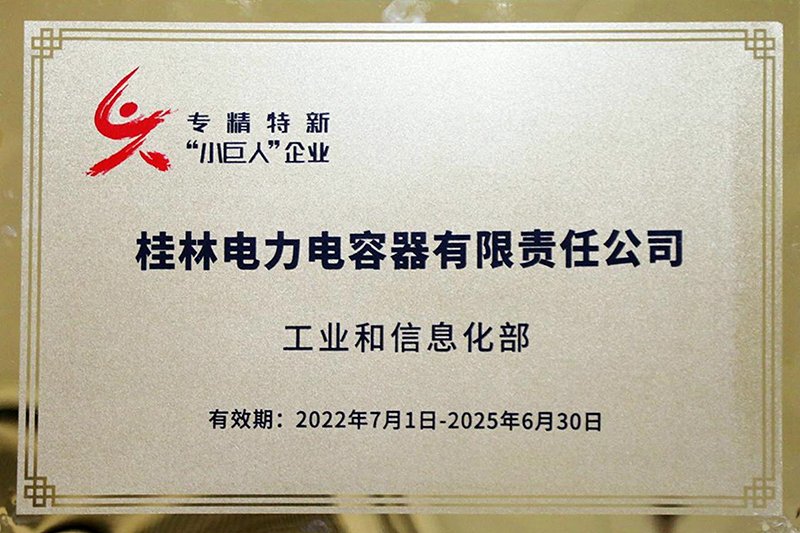 国家级“专精特新”重点小巨人企业