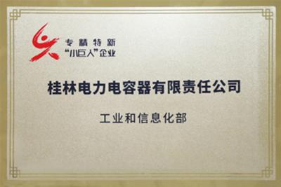 国家级“专精特新”重点小巨人企业