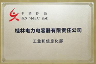 国家级“专精特新”重点小巨人企业